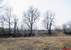 Кайболовское городище