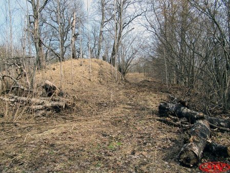 Кайболовское городище