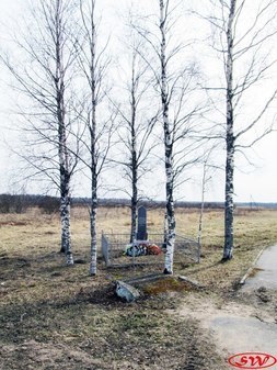 Братская могила воинов Красной Армии 1919 г. у д. Войносолово