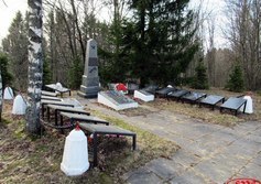 Братская могила в д. Логи