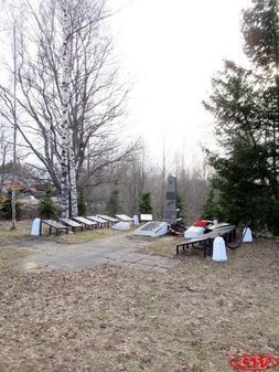 Братская могила в д. Логи