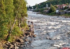 Лицензионный участок в устье реки Умба
