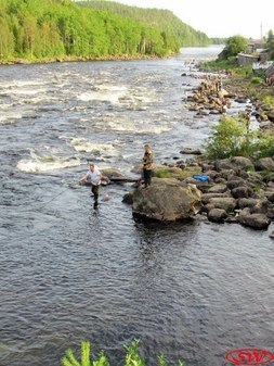 Лицензионный участок в устье реки Умба