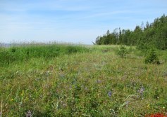 Стоянка у моря