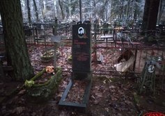 Братские могилы воинов и партизан в Рождествено