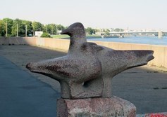 Чайки Петербурга