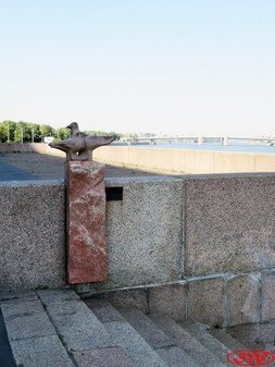 Чайки Петербурга