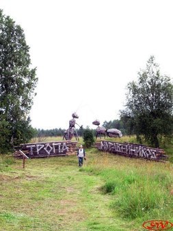 Тропа муравейников