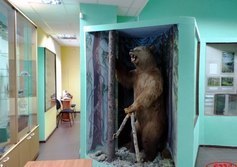 Вытегорский краеведческий музей