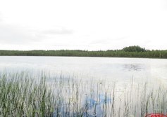 Озеро Половинное