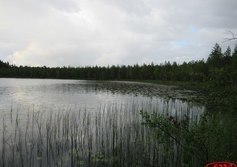 Озеро Половинное