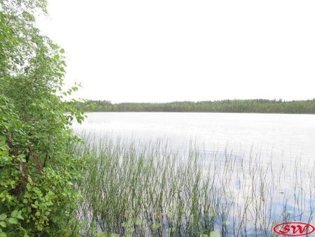 Озеро Половинное