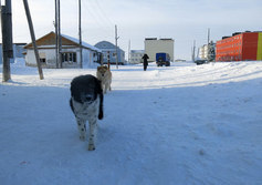 Село Амгуэма