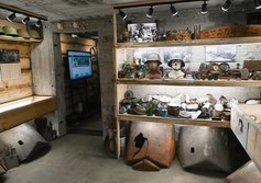 Свирский ДЗОТ