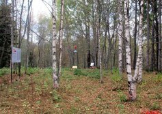 Братское захоронение советских воинов в д. Великий Двор