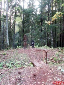 Гора Гапсельга. Самая высокая точка Ленинградской области - 291.9 м