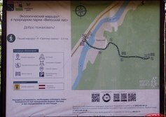 Начало Тропы к «Святому камню» напротив д. Чурручей