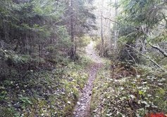 Пешеходный маршрут «Тропа чудес» в Ярославичах