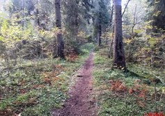 Пешеходный маршрут «Тропа чудес» в Ярославичах