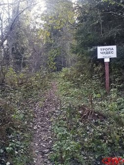 Пешеходный маршрут «Тропа чудес» в Ярославичах