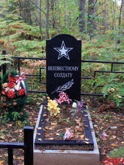 Могила неизвестного солдата в Ефремково