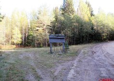 Северо-Западная окраина Вепсского леса