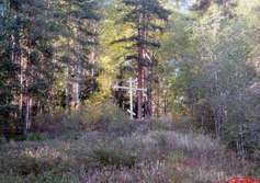 Лысая гора в Алёховщине