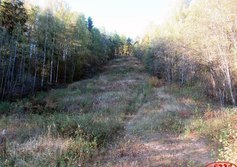 Лысая гора в Алёховщине