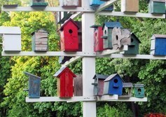 Скворечник-Коммуналка в Пушкино