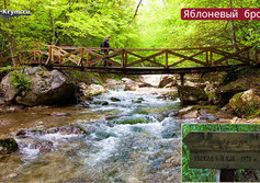 Яблоневый брод в Большом каньоне