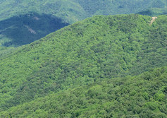 Гора Блачаг