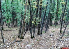 Гора Блачаг