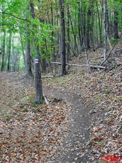 Гора Блачаг