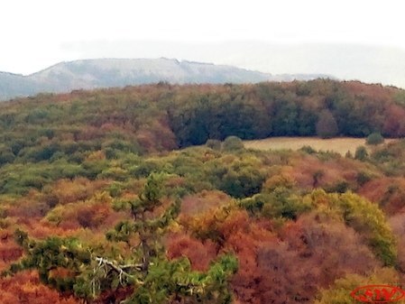 Гора Куин-Тепе