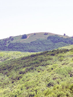 Гора Паша-Тепе (Ласая)