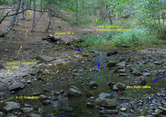 Родники Баш-Дере