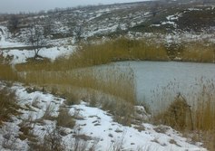 Геологический памятник природы «Пасеково»