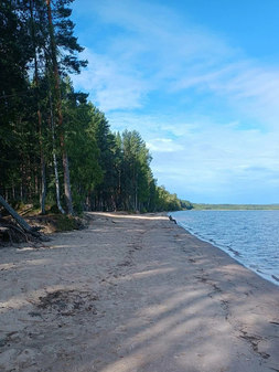 Пляж на Пальозере
