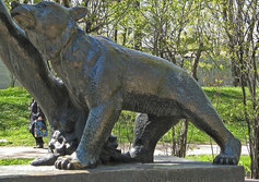 "Лесной мальчик"