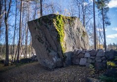 Камень китайского зонтика