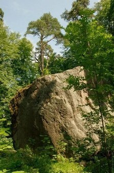 Камень китайского зонтика