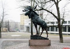 Скульптура «Лось» в Выборге