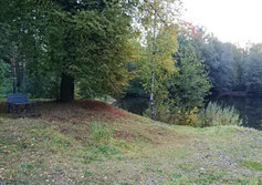 Парк усадьбы Княжелисино