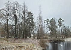 Парк усадьбы Княжелисино