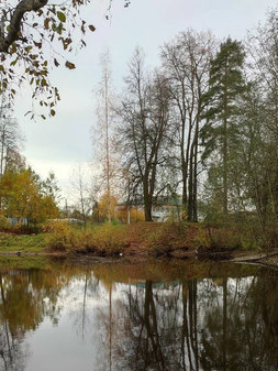Парк усадьбы Княжелисино
