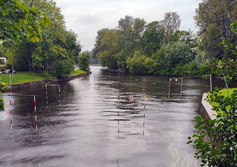 Безымянный островок на р. Крестовке