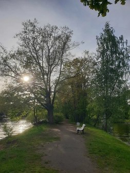 Безымянный островок на р. Крестовке