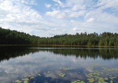 Озеро Попово