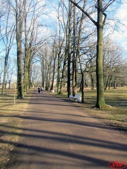 Орловский парк