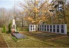 Братская могила советских воинов в Васильково